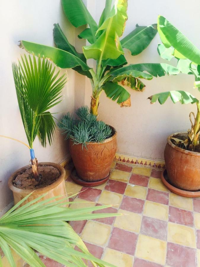 Ryad Bianco Marrakesch Exterior foto